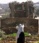 Solidaridad con Palestina/Encubrimiento